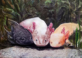 Fantasmas del Lago